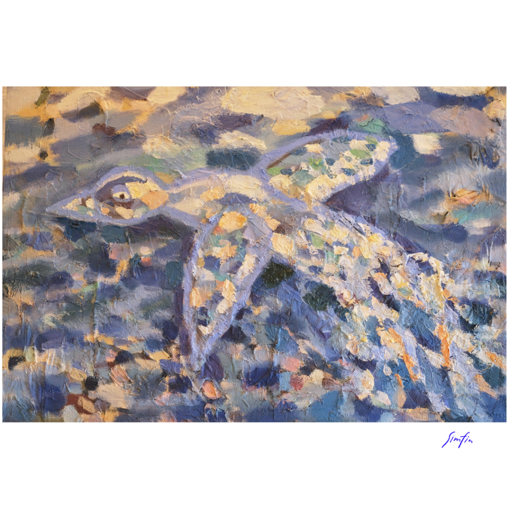Flow of Birds